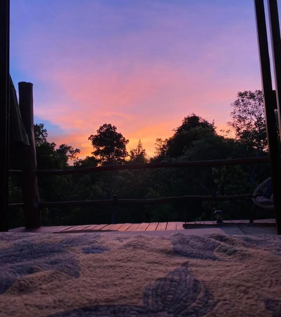 Campsite Evamayah Leona Vicario Mexico