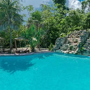 Hotel Jolie Jungle Eco (adults Only), Leona Vicario